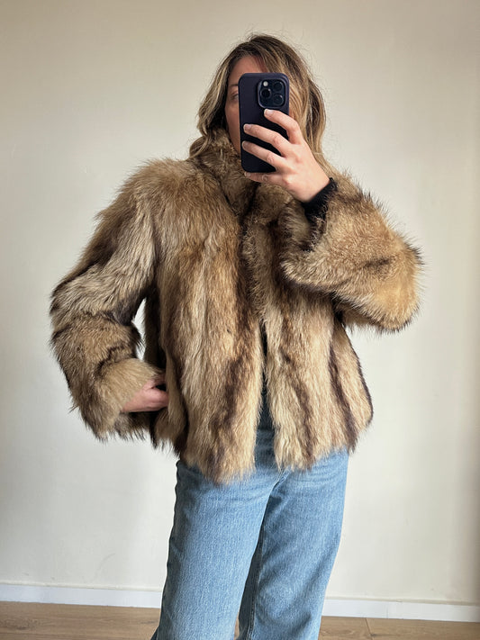 Honey short fur